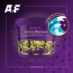 af hybrid pro ban