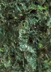 Ocean Nutrition Green Marine Algae