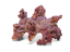 CaribSea Life Rock Shapes 9,07 kg