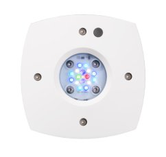 ai prime16hd reef bottom white