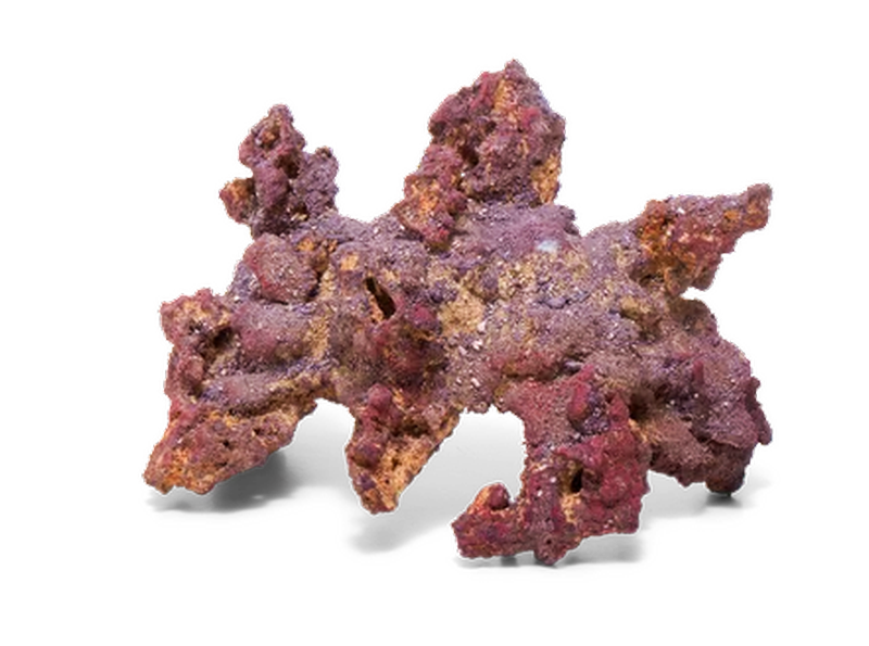 caribsea liferock arch 907 kg 1.png