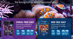 red sea salt.24344521 std