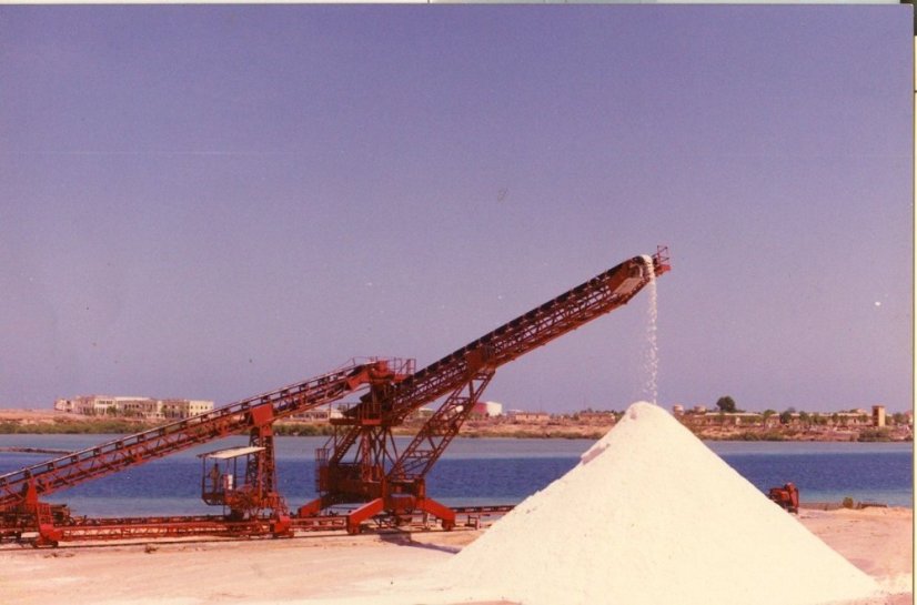 red sea bulk salt
