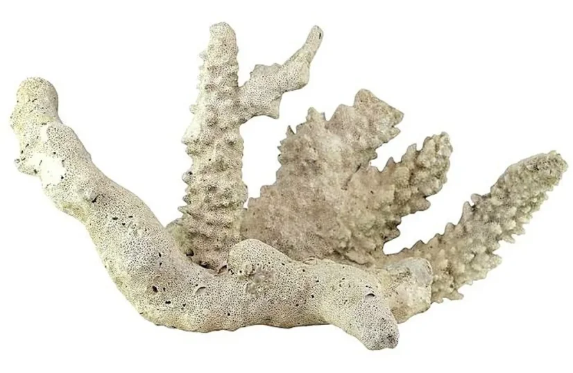 Tonga Branch Rocks přírodní skála