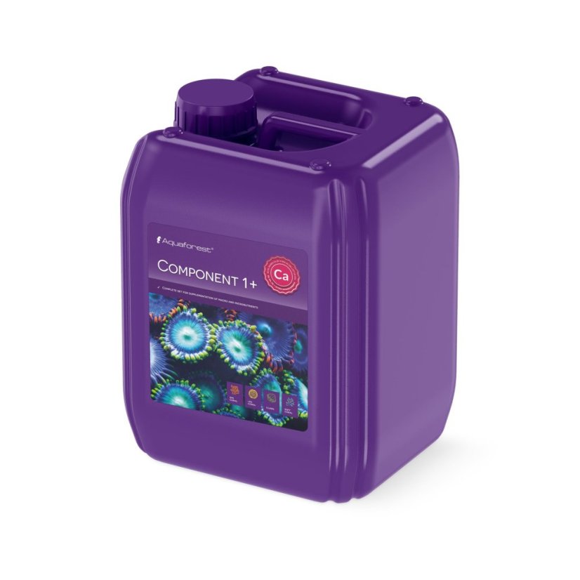 AF COMPONENT 1+ 5L