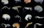 copeopds2