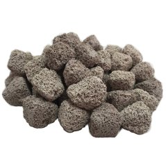 xport bio cubes