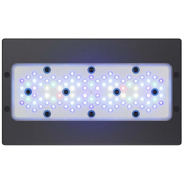 radion lg 112692 30Blue G5 Bottom