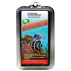 redmarine algae