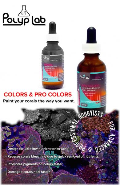 Polyplab Colors 200%