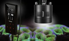 Kessil A360NE Tuna Blue LED Světlo