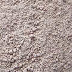 sps coral food