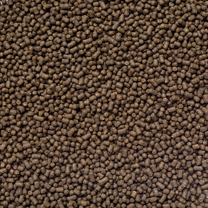 af algae feed m makro zoom