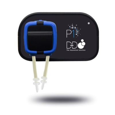 d d h2ocean p1