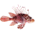 Scorpaenidae