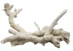 Tonga Branch Rocks prírodná skala