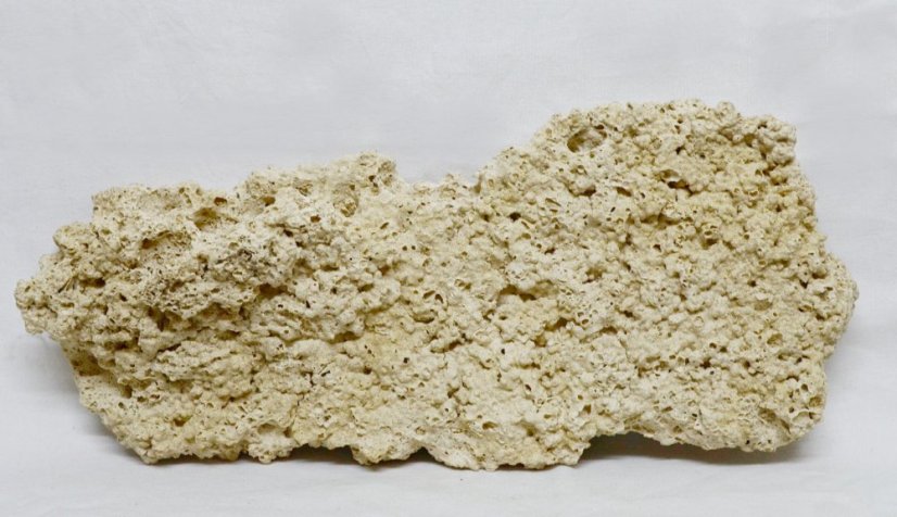 Ceramic Reef Rock Plate