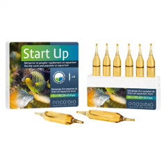Prodibio Start Up
