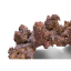 caribsea liferock arches original 907 kg~5