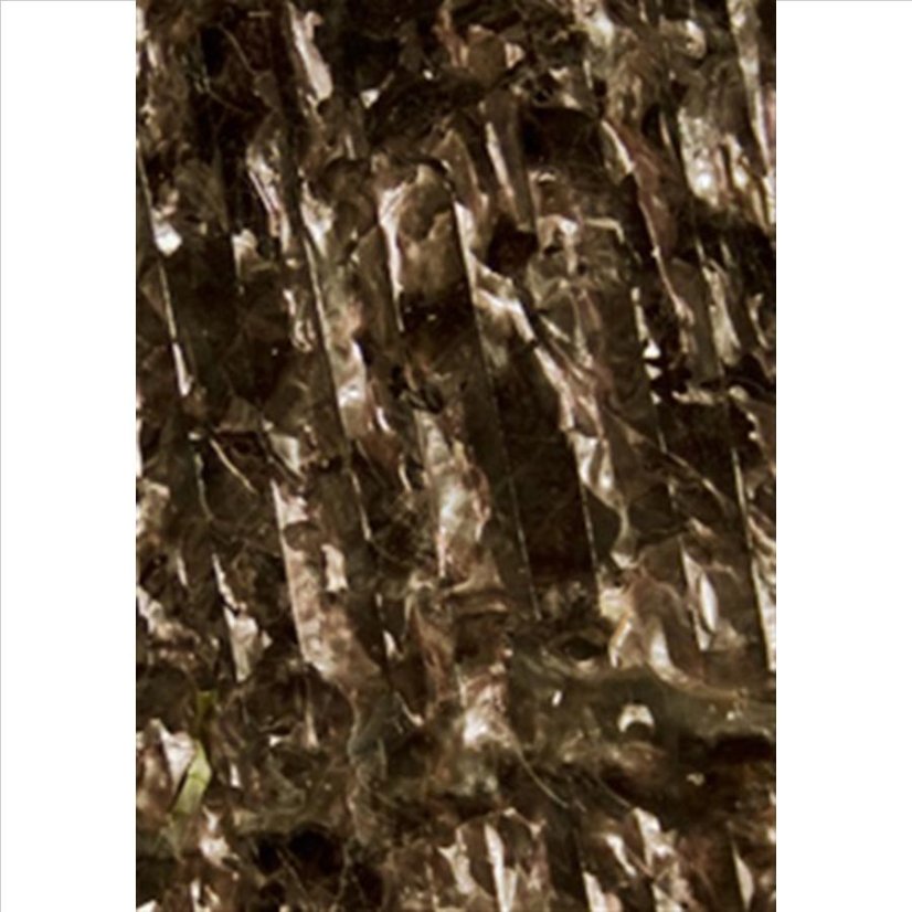 brown marine algae
