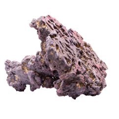 caribsea liferock shrooms 2 per box