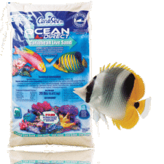 CaribSea Ocean Direct 9,07 kg