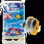 960x960 critter ocean direct