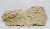 Ceramic Reef Rock Plate