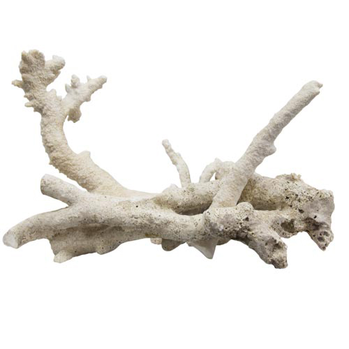 Tonga Branch Rocks naturalna skała