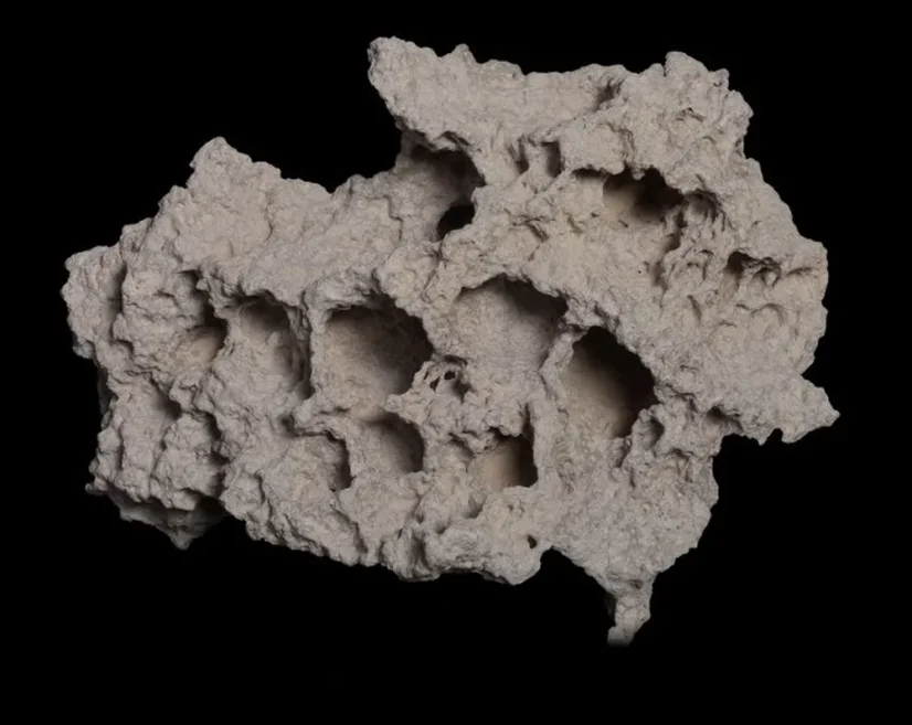 Moonstone stijena za morski akvarij