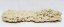 Ceramic Reef Rock Plate