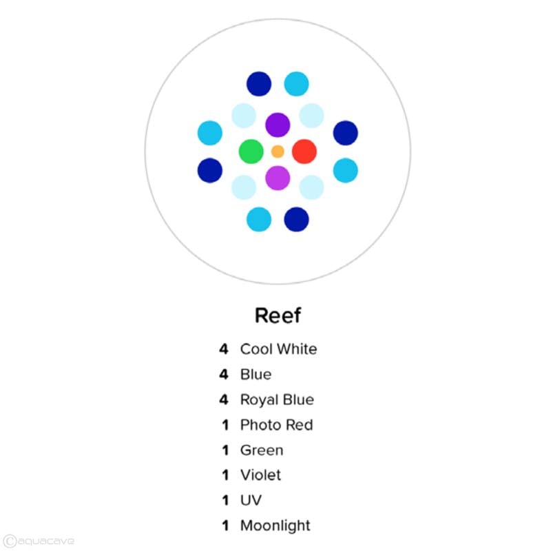 ai prime 16hd black 2