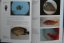NewMarineBookPages 1 scaled