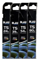 Blau T5 Super Actinic
