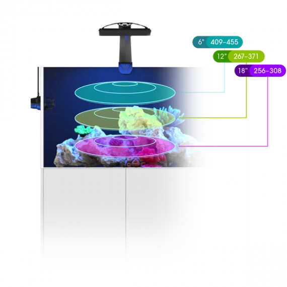 ecotech marine radion xr15 g6 pro
