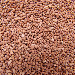 reef pellets 1
