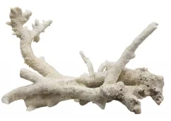 Tonga Branch Rocks přírodní skála