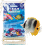 960x960 critter ocean direct