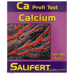 ca 2