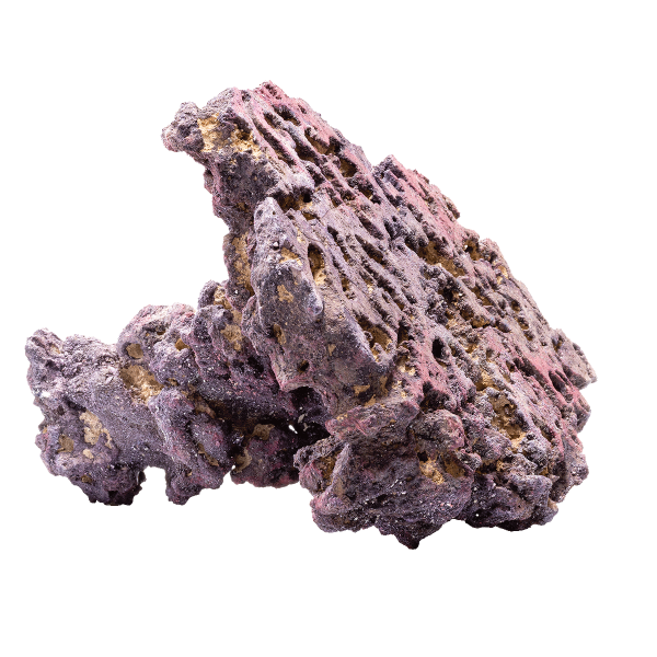 caribsea liferock shrooms 2 per box