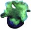 Clipped image 20240305 083859