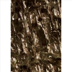 brown marine algae