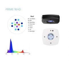 ai prime 16hd white 2