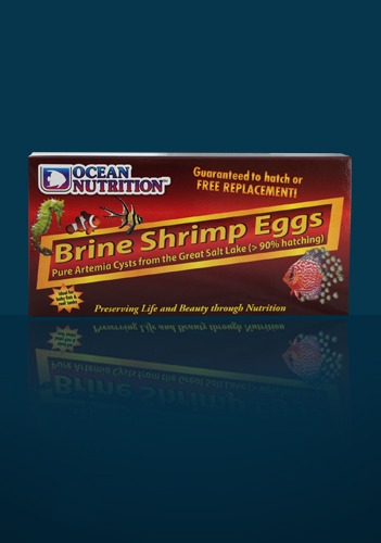 Ocean Nutrition Artémia Brine Shrimp Eggs - Hmotnosť: 20g