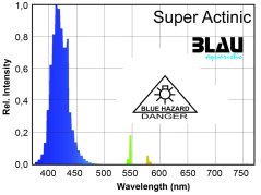Blau T5 Super Actinic