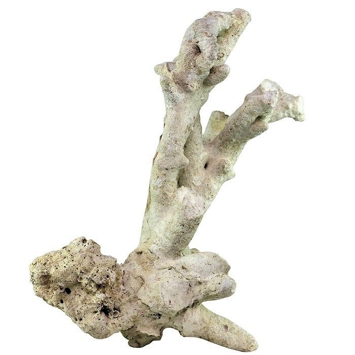 Tonga Branch Rocks naturalna skała