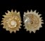 lithopoma phoebium2