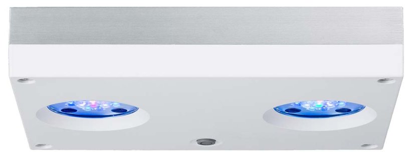 ai hydra 32hd w 2