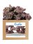 caribsea life rock shelf rock box kg 18 14