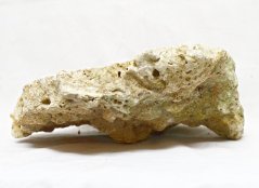 Marine Relief Reef Plates